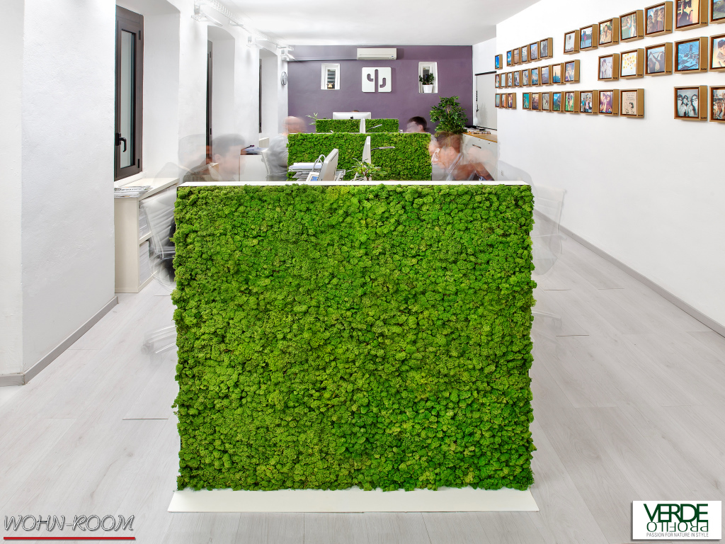 wandverkleidung_pflanze_mosswall_acoustic_moos_verdeprofilo_moospanel_mooswand_wandmoos_interior-design_greenwall_wohn-room