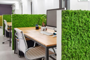 wandverkleidung_pflanze_mosswall_acoustic_moos_verdeprofilo_moospanel_mooswand_wandmoos_interior-design_greenwall_wohn-room