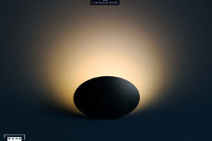 wandverkleidung_licht_lederam_wf_schwarz_catellani&smith_wohn-room