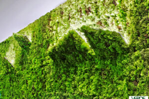 wandverkleidung_pflanze_applique_mosswall_wasabi_moos_fusion_moos-paneele_wohn-room