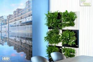 wandverkleidung_pflanze_biomontage-live_natures-green_technik_farbe_white_installation_lebende-pflanzen_wand_wohn-room