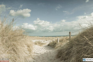 wandverkleidung_schallsauger_strandwegaufsylt_akustik_raumakustik_schalldämmung_wandbild_wohn-room