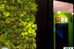 wandverkleidung_pflanze_fusion_wasabi_montage_mosswall_moos_wohn-room