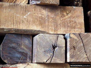 wandverkleidung_holz_jungle_teak_teakwurzel_wonderwall_studios_holzwand_wohn-room