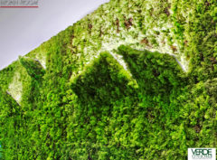 wandverkleidung_pflanze_applique_mosswall_moos_verdeprofilo_wohn-room
