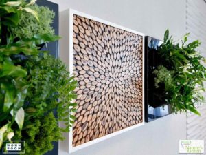 wandverkleidung_pflanze_biomontage_natures-green_wand_wohn-room