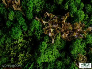 wandverkleidung_pflanze_fusion_mint_moos_wohn-room