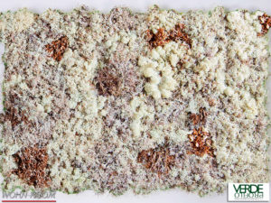 wandverkleidung_pflanze_fusion_naturale_moos_wohn-room