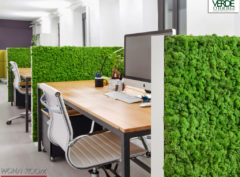wandverkleidung_pflanze_mosswall_acoustic_wasabi_moos_verdeprofilo_moospanel_mooswand_wandmoos_interior-design_greenwall_wohn-room