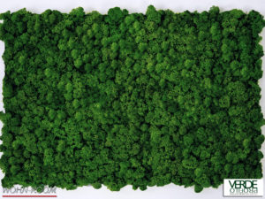 wandverkleidung_pflanze_mosswall_mint_moos_wohn-room