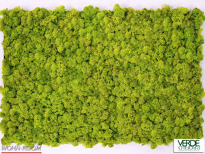 wandverkleidung_pflanze_mosswall_wasabi_moos_wohn-room