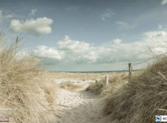 wandverkleidung_schallsauger_strandwegaufsylt_akustik_wandbild_wohn-room