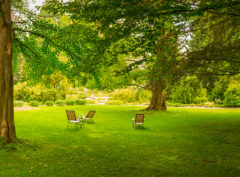 wandverkleidung_schallsauger_walkinthepark_akustik_wandbild_wohn-room