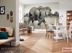 wandverkleidung_wallpaper_elephant_fototapete_vliestapete_komar_wohn-room